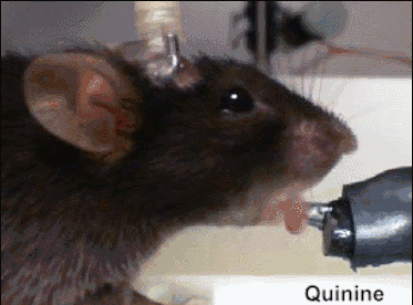 640 (1).gif