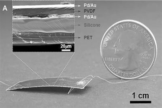 W020190802507754102843.jpg