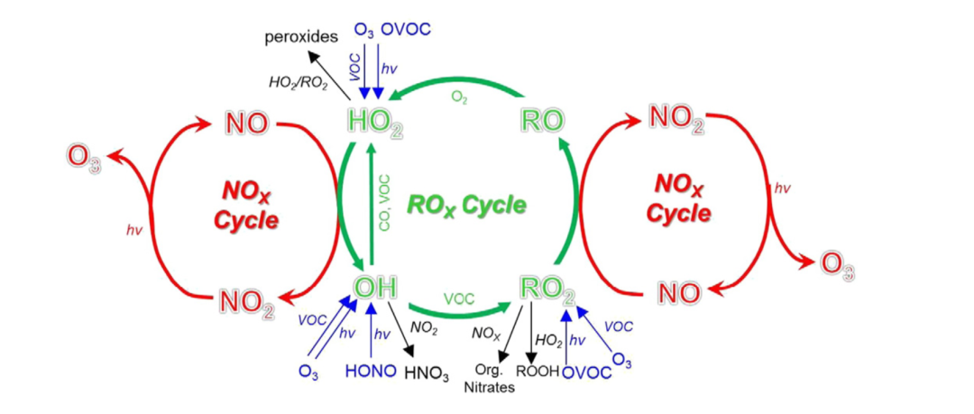 地表臭氧生成的机制有点复杂,随便感受一下就好 参考文献[4]