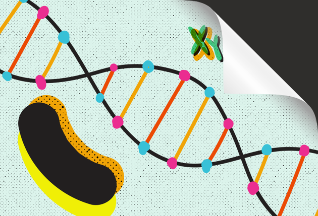 颠覆生物学经典概念：遗传不仅仅靠基因