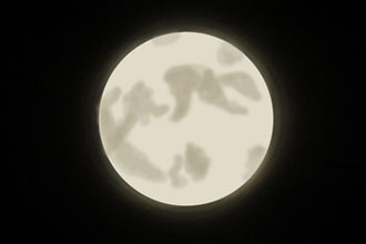 01.jpg