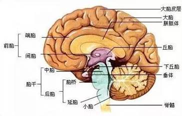 2f55ed2e606fcc526fc2cd81cfa96f65