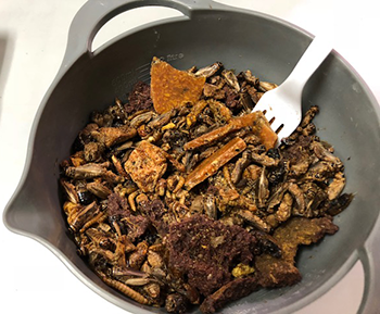 把可以爆浆的大虫子塞进嘴，你能想象那种酸爽吗?