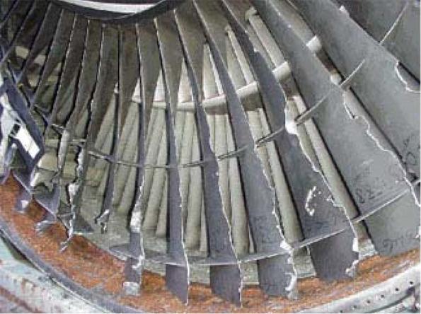 图6 - 叶片遭受硬物冲击后的惨状(资料图)