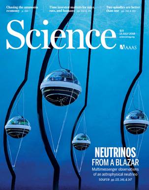 èºæ¯å®¶å¯¹åææ´²IceCube Neutrino天æå°çå°è±¡ã çå½¢æ°åå
妿¨¡åï¼DOMï¼ï¼æ¯ä¸ªç´å¾çº¦35åç±³ï¼ä½äºå°ä¸2.5å
¬éæ·±å¤ã è¶
è¿5000个DOMç»æä¸ä¸ªç«æ¹åç±³çæ¢æµå¨ï¼ééè¶
è¿10亿å¨ã DOMå¯ä»¥æ£æµå°é«è½ä¸å¾®åä¸å°ç¸äºä½ç¨æ¶äº§çç微弱å
线ã è§ç¬¬115,146å147页ãä¿¡ç¨ï¼Jamie YangåSavannah Guthrie / IceCube / NSF