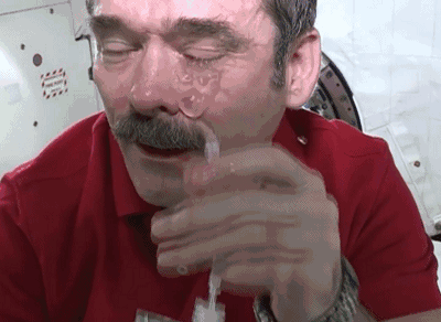 2222.gif